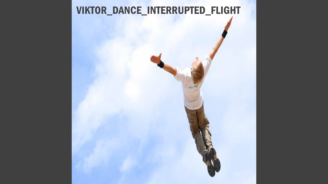 Interrupted Flight (Original Mix)