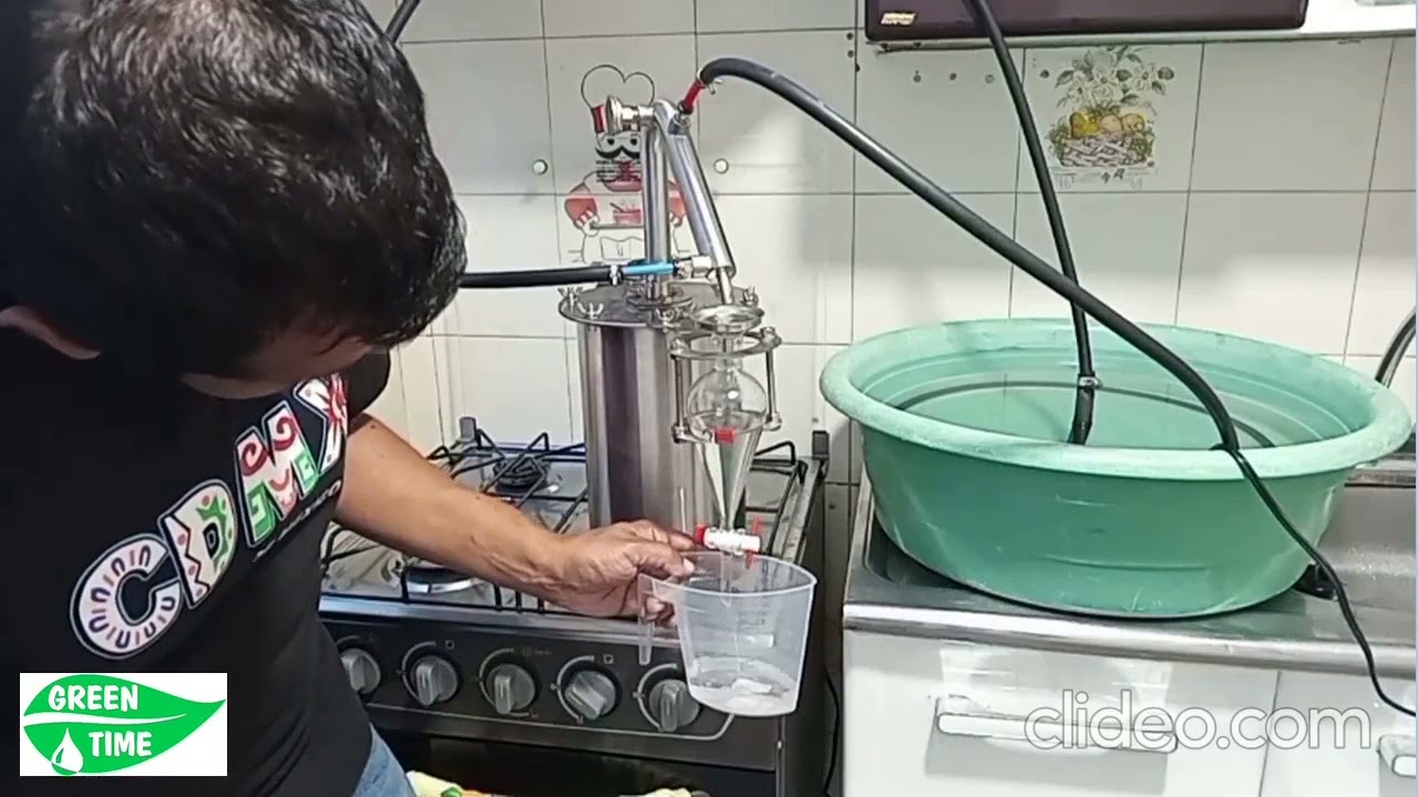 DESTILANDO ACEITE ESENCIAL DE EUCALIPTO