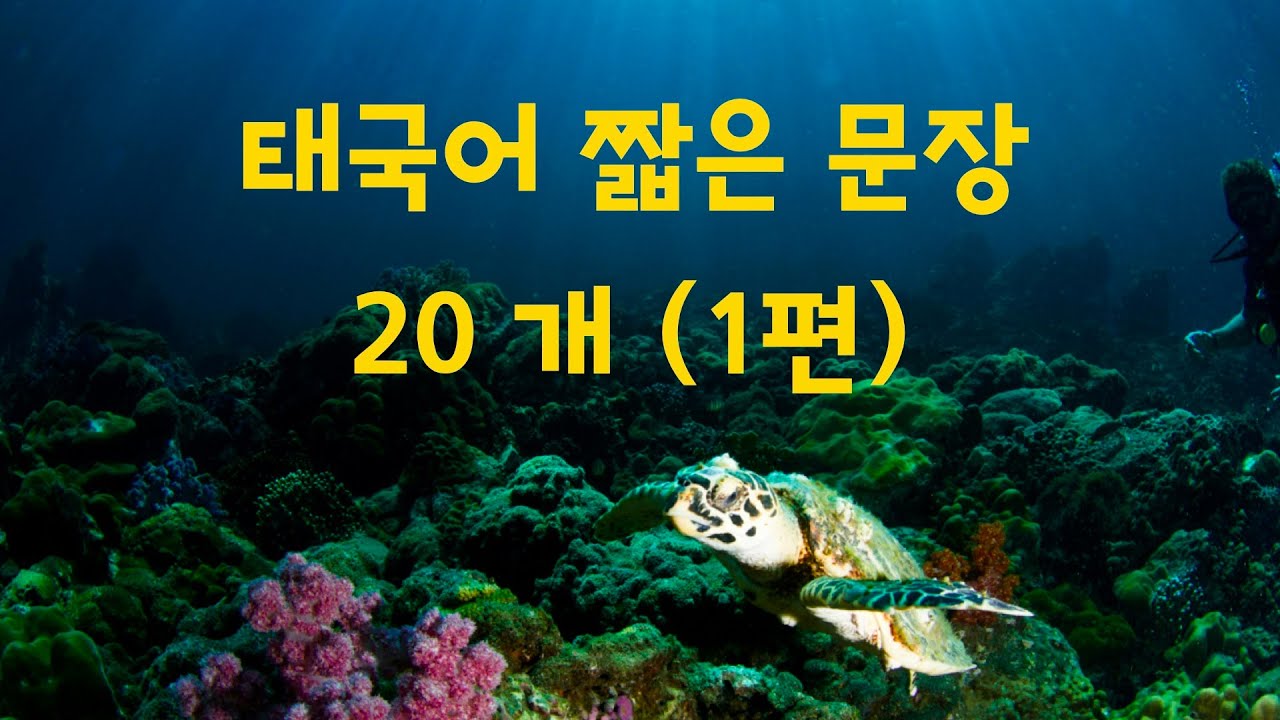 🇹🇭 태국어 짧은 문장 20개 (1편)