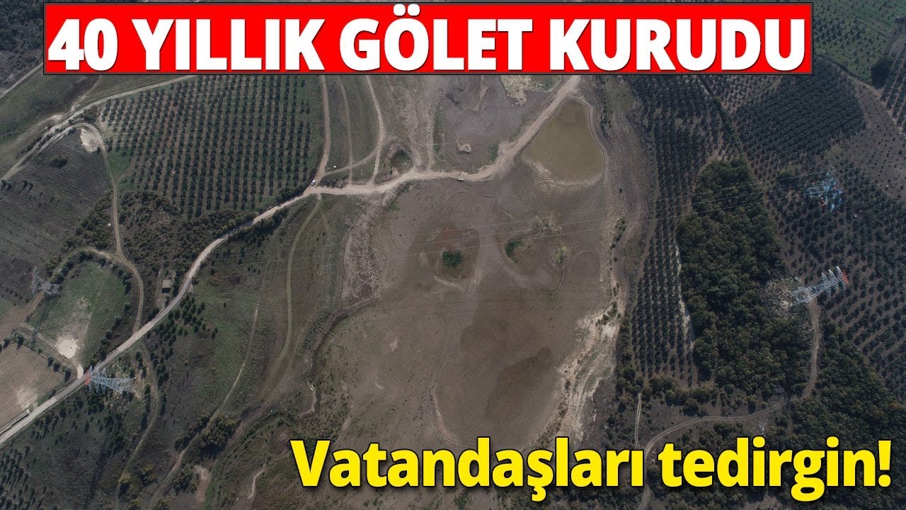 Zeytin Diyarı Mudanya'da 40 Yıllık Gölet Kurudu