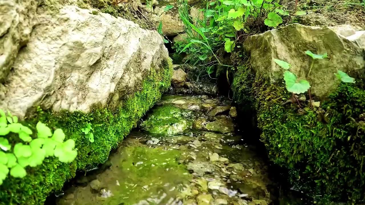 4K Small Stream Trickle Sound (2 Hours)💧Natural Water White Noise for Deep Sleep, Meditation & Study
