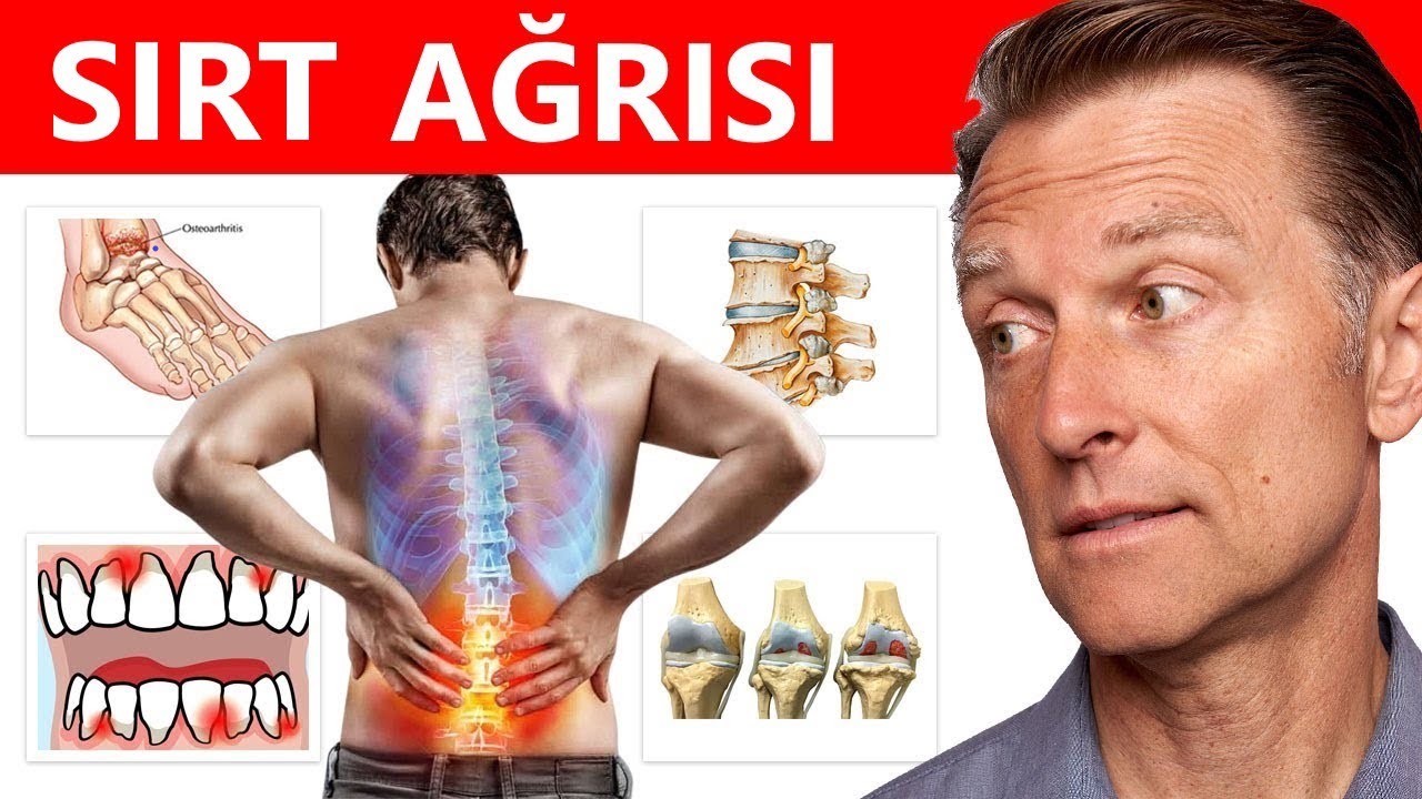 Sırt Ağrısına Neden Olan Başlıca Vitamin Eksiklikleri | Dr.Berg Türkçe