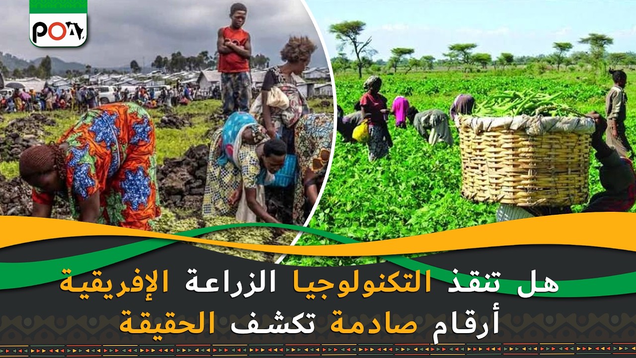 هل تنقذ التكنولوجيا الزراعة الإفريقية، أرقام صادمة تكشف الحقيقة