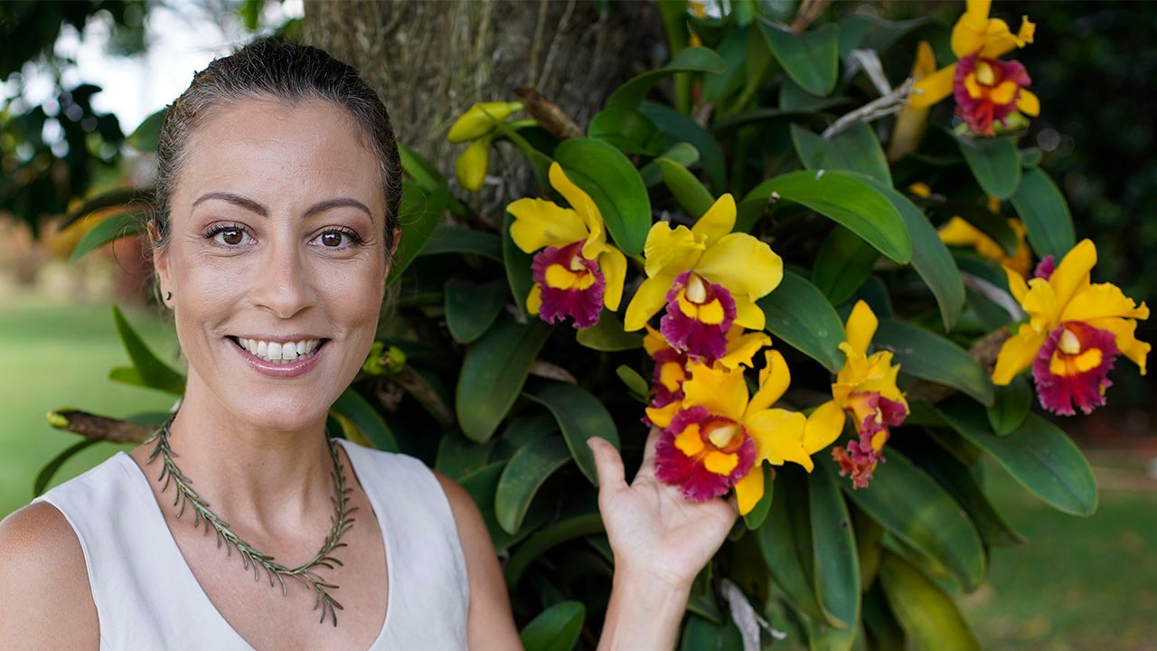 Como MUDAR ORQUÍDEA de VASO com CAROL COSTA