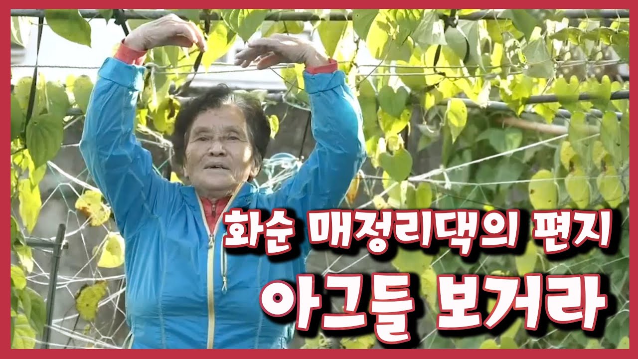 [남도지오그래피]  아그들 보거라, 화순 매정리댁의 편지 | KBS 201021 방송