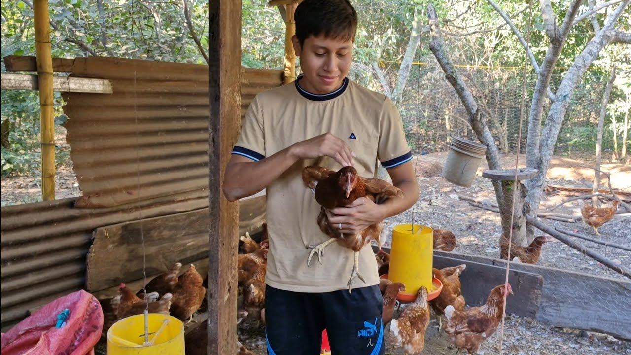 Nuestra Granja se ve más Bonita| Con nuevos Nidos 😍