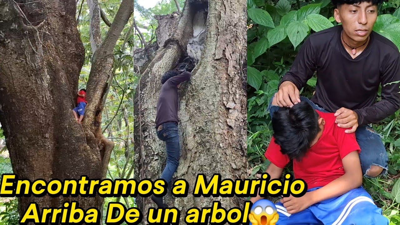 Ever Rescata a Mauricio😱Encontramos a Mauricio Arriba de Un arbol😭