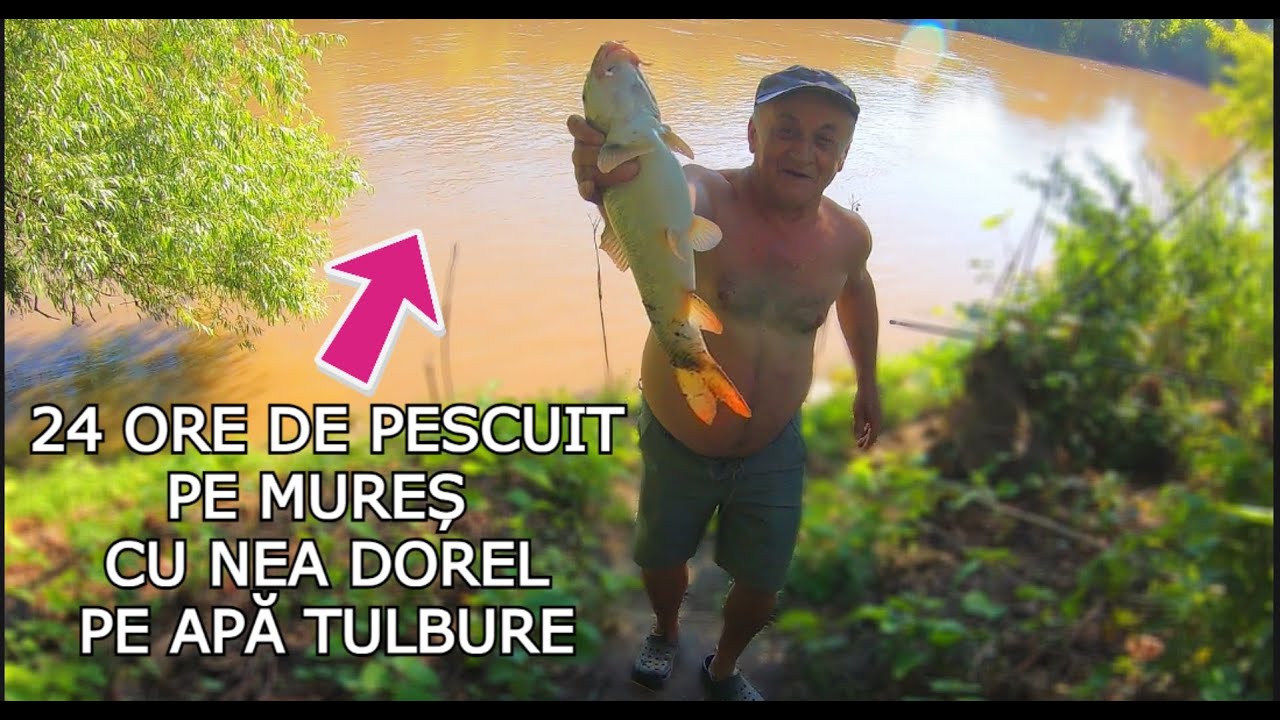 24 ORE de Pescuit pe MUREȘ cu BĂTRÂNUL PESCAR Dorel, Pe APĂ TULBURE și CRESCUTĂ - Super Rezultat