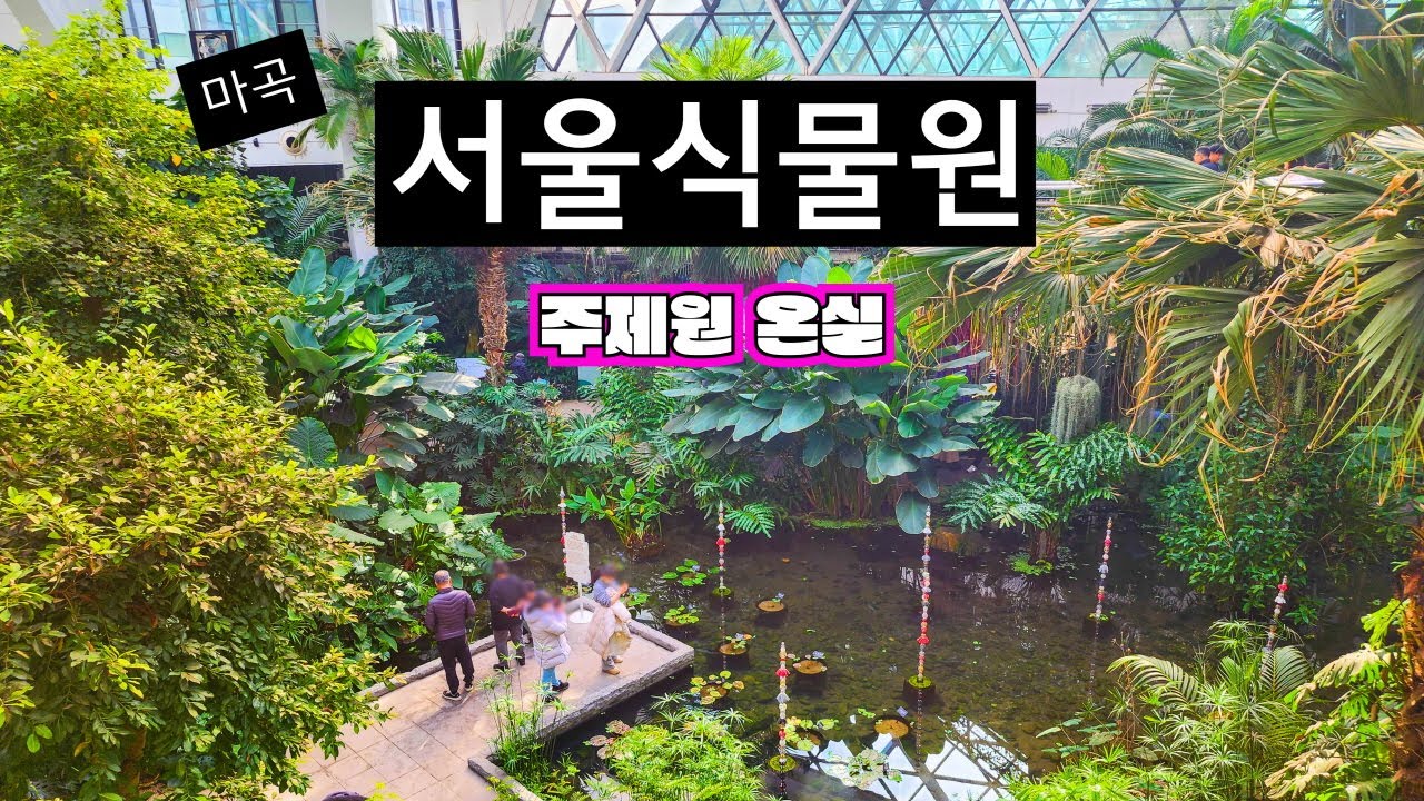 겨울방학 실내 가볼만한곳 마곡서울식물원 (26년1월)