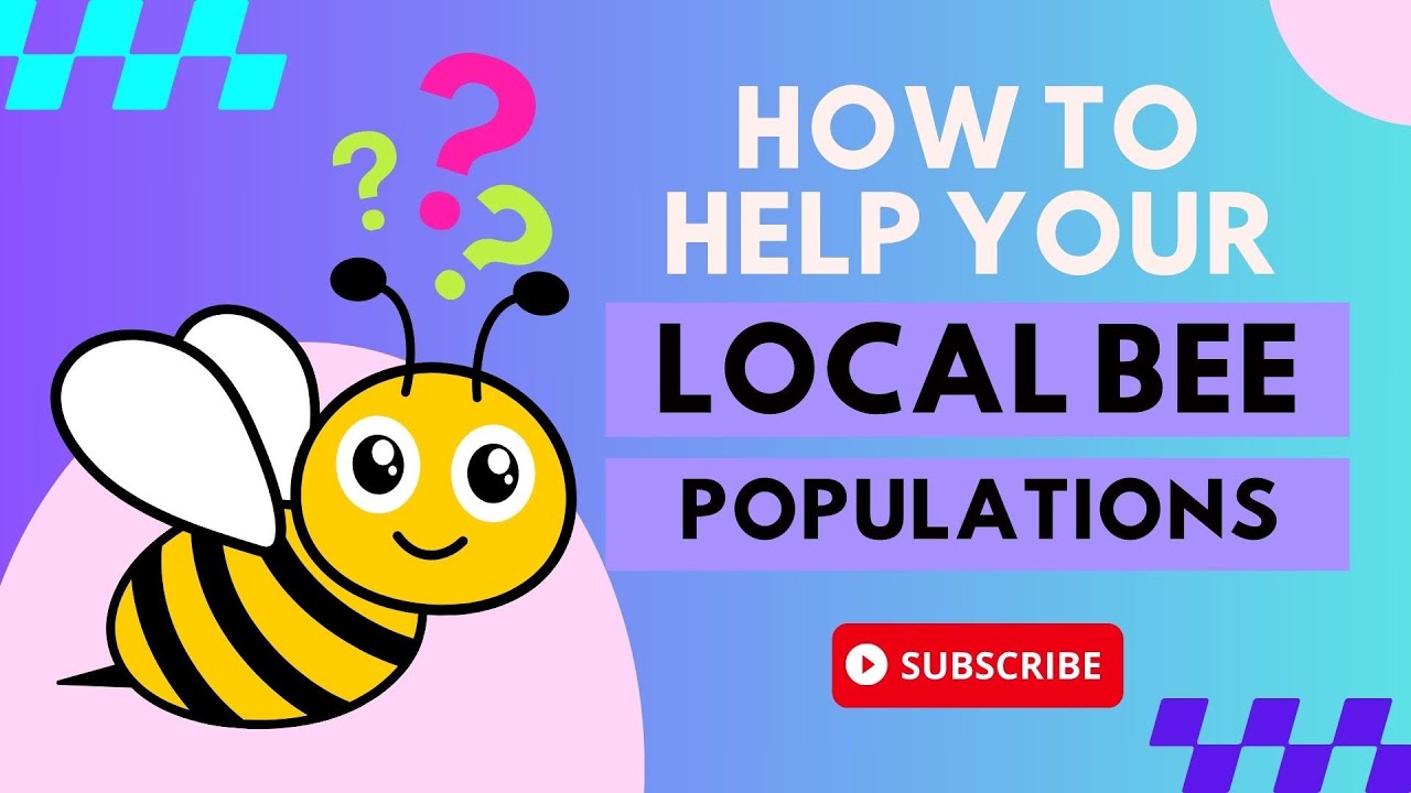 How Can You Help Your Local Bee Population?