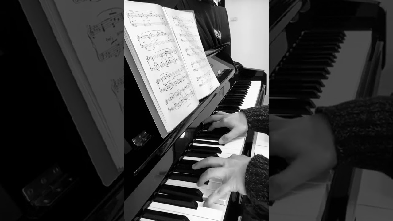 Ryuichi Sakamoto 坂本龍一 