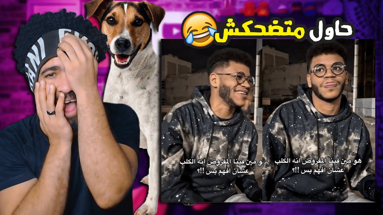 حاول متضحكش #7 قصه مجنونه معا كلاب الشوارع 😂