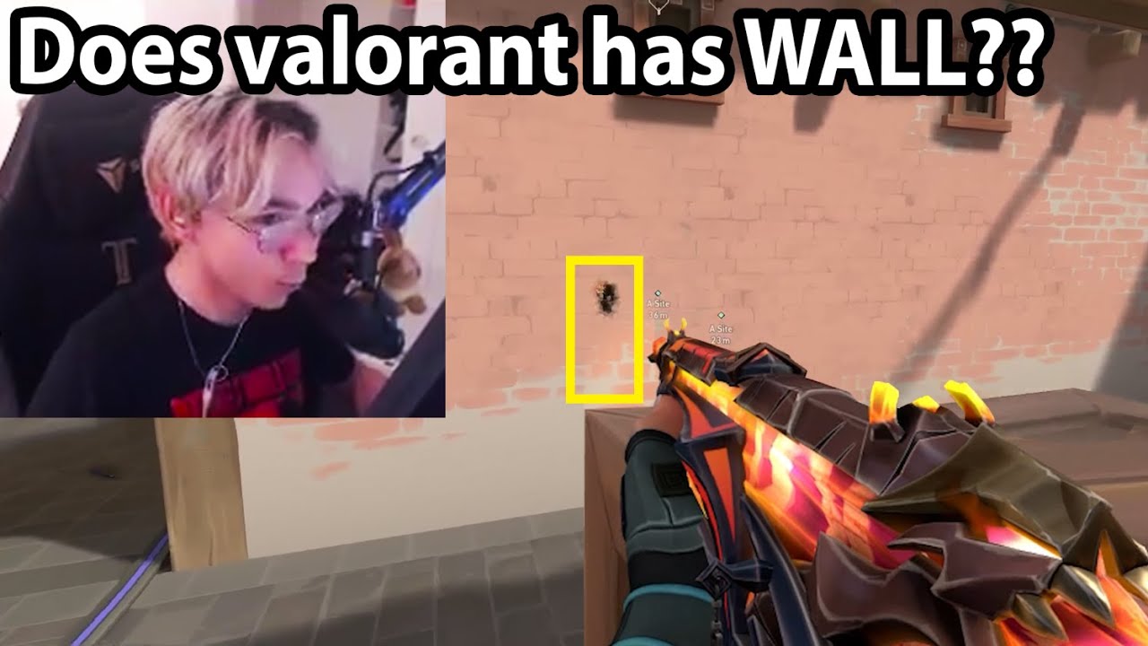 TenZ proves that WALL on HAVEN is actually USELESS...