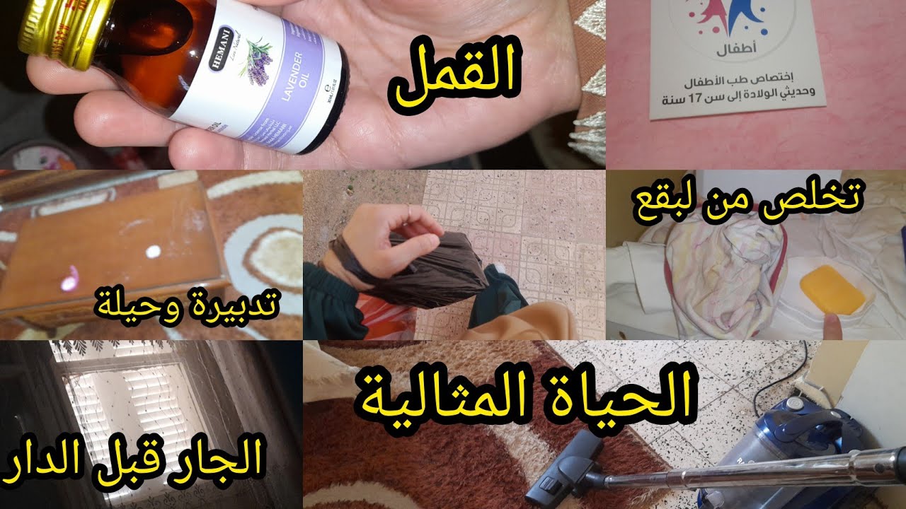 غلق القناة@Sabrina_zn⛔️نشارك معاكم مشتريات🌸كيفاه نحمي بنتي من لقمل📢تربية لبنات👭حياة مواقع التواصل