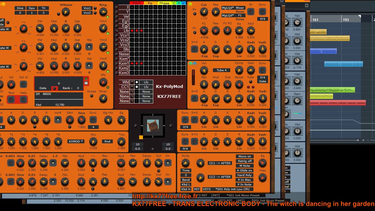 KX77FREE - TRANS ELECTRONIC BODY - The witch is dancing in her garden