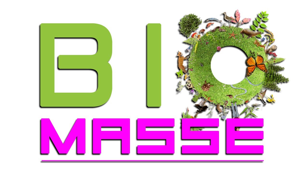 BIOMASSE - Partie 1