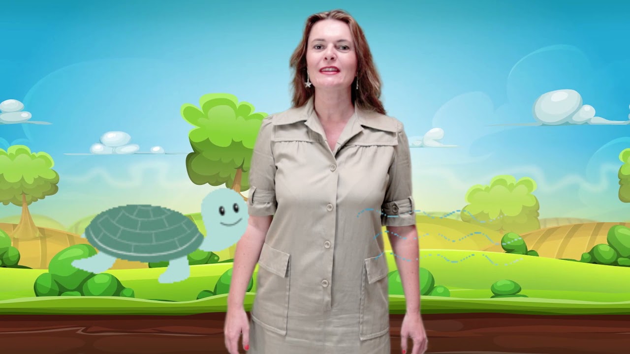 La Famille Tortue - Chanson pour Enfant - Les Comptines d'Izaé