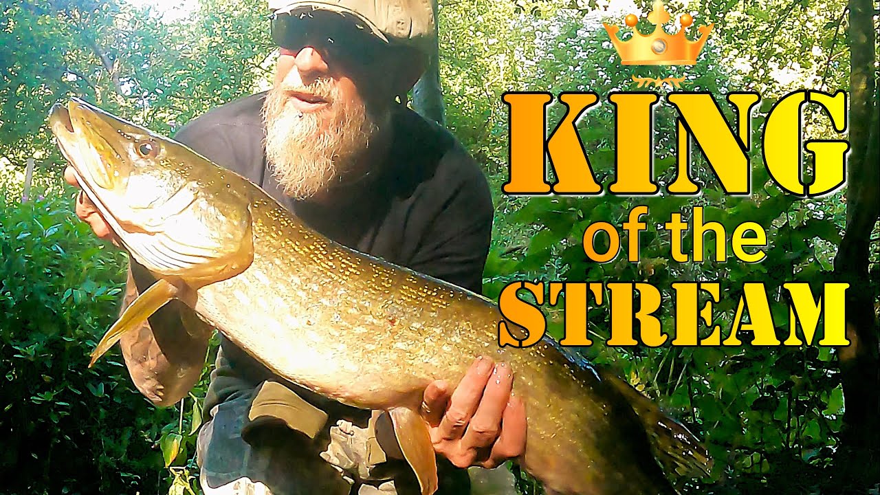 Fishing Season 2025 Starts With a Giant Surprise!