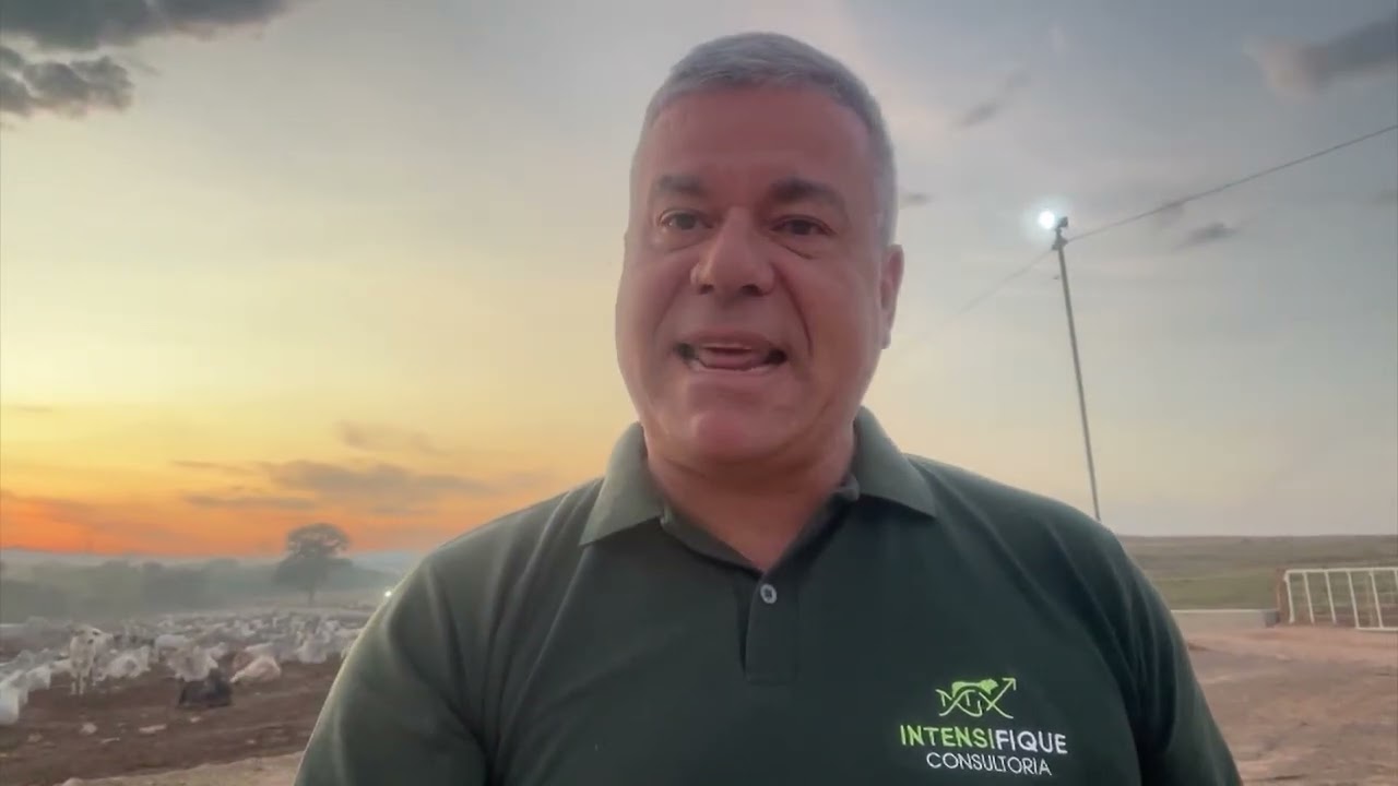 PASTEJO ROTATIVO OU ULTRADENSO? ENTENDA AS DIFERENÇAS NO MANEJO DO GADO