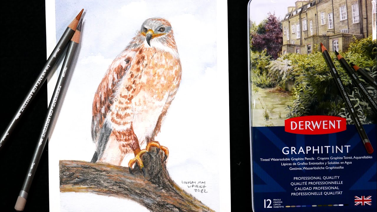 How to Paint a Bird with Derwent Graphtint Pencils (and optional mixed media)
