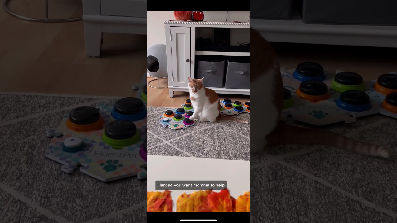 When Dad Says No, Ask Mom!