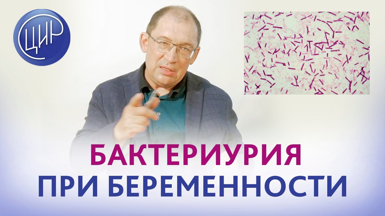 Бактериурия в 12 недель беременности. Принимать ли Монурал? И.И. Гузов.