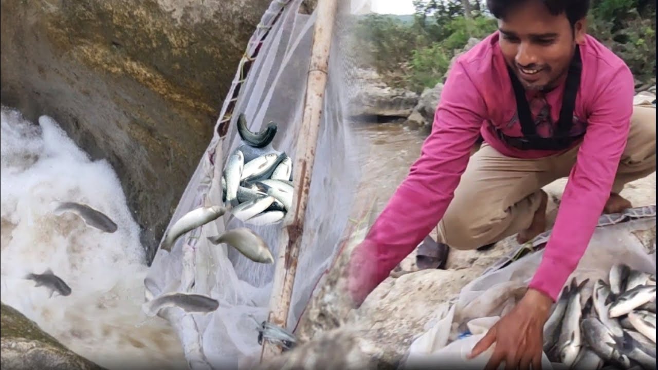 चढ़ने वाली मछली पकड़ने का आखरी मौका! 😱 | चढणीचे मासे | Net Fishing | Chadniche Mase
