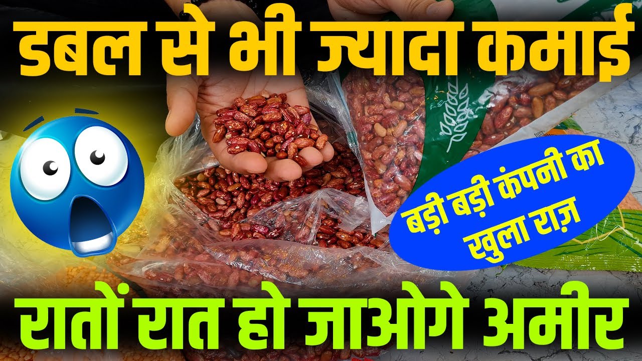 📣हर घर में रोज़ाना खाया जाता है । अंदर की बात सिर्फ़ हम बताते हैं । Low Cost Business Ideas | 📣