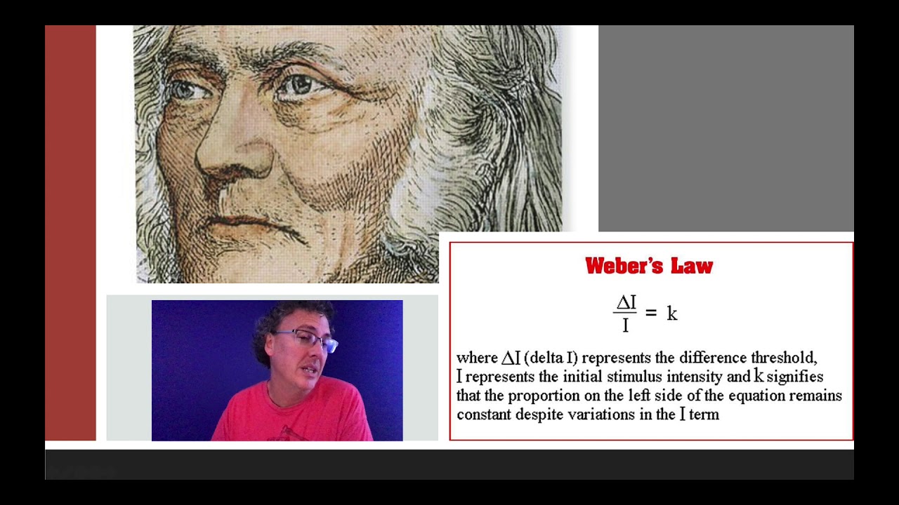 Lecture 8.2 - Ebbinghaus