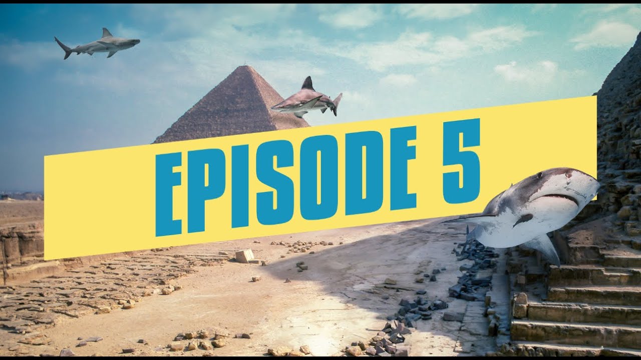 كل ام بتعاني من تسوس اسنان ولادها ومش عارفة تمنعهم من ال 🍭Dr.Joy🍬, Sweets جاتلك بالحل مع الشاركس  🦈