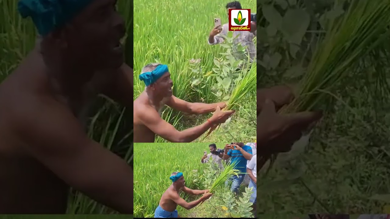 #trandingshorts #reels #shortvideo #admknews #eps #aiadmkitwing #aiadmknews #eddapadiyar #news
