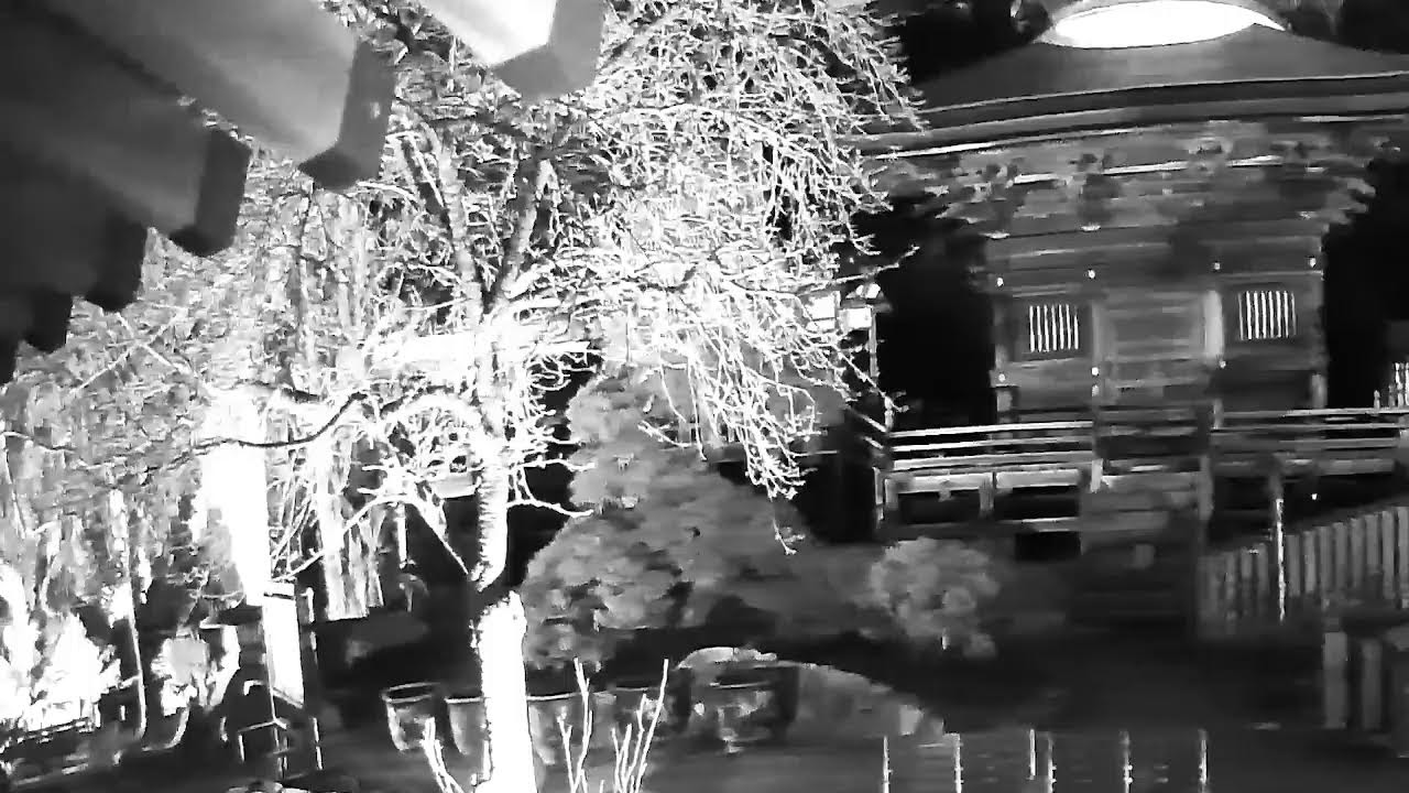 雨引観音　護摩祈願ライブ配信