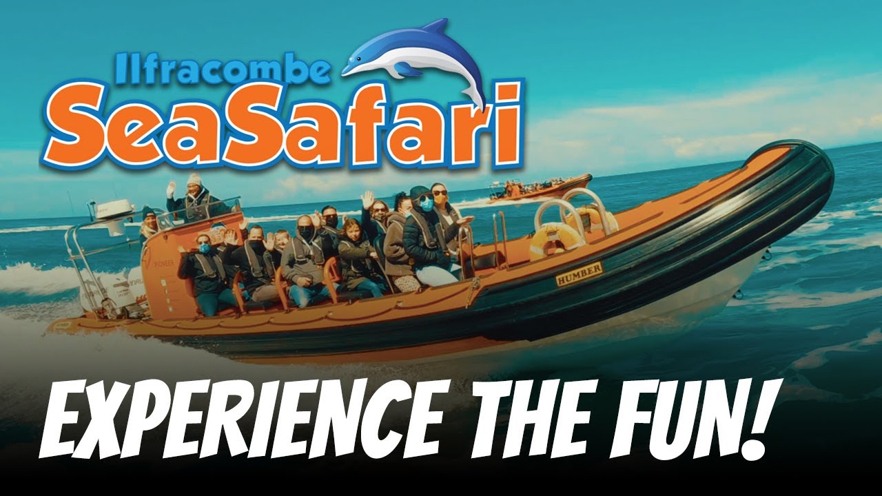 Ilfracombe Sea Safari Overview