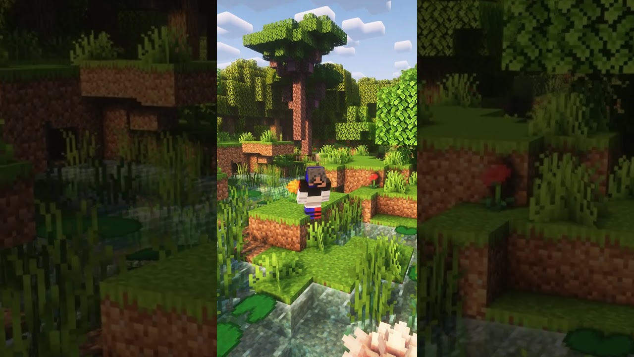 50 nuevos biomas en Minecraft🌲⛰️