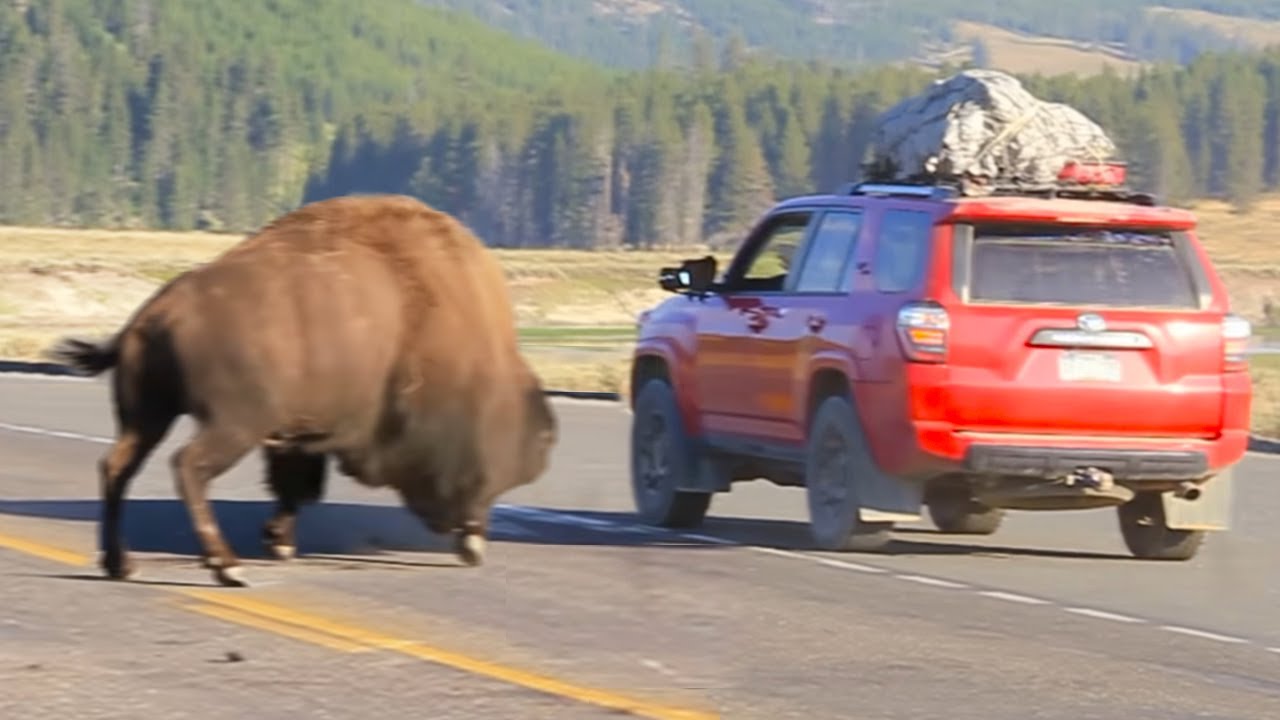12 Times Camping Trips Went Horribly Wrong