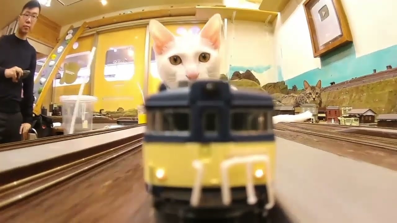 Do you want to ride this train for 5 minutes? Get on it!