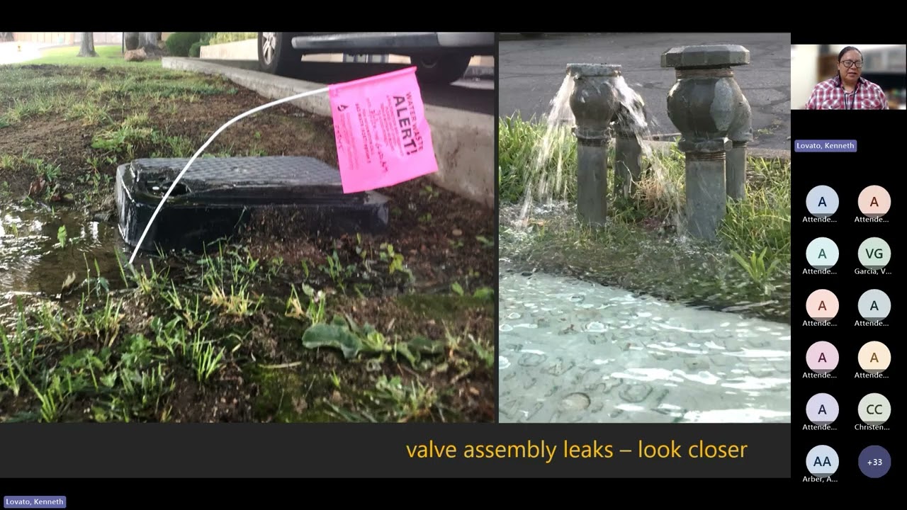 Webinar: 3 Steps To Landscape Success