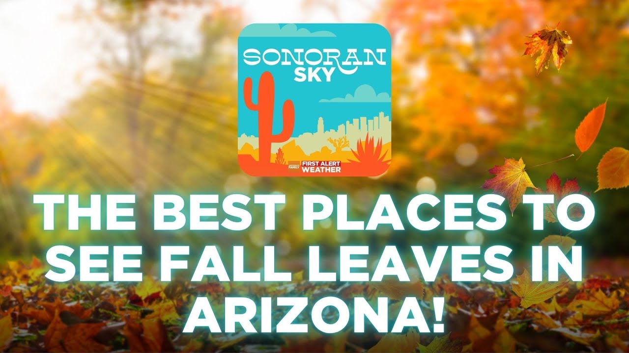 Here are the best places to see fall leaves in Arizona | Sonoran Sky Podcast