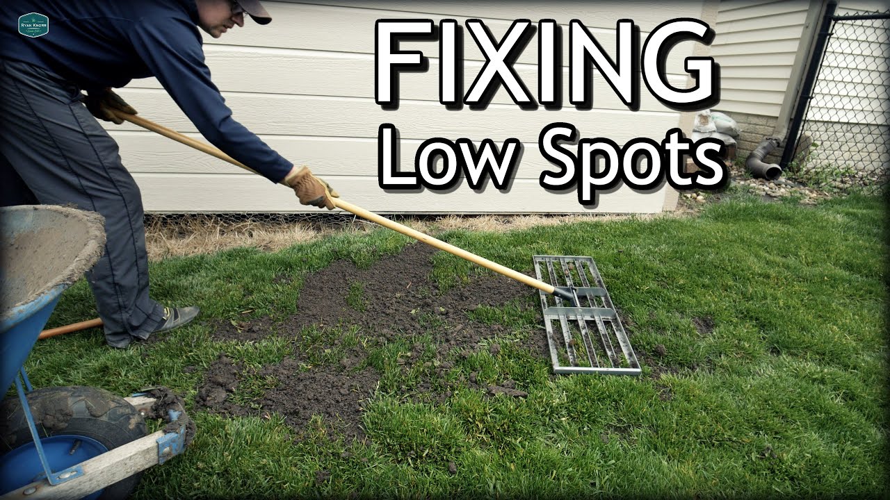 Fixing LOW SPOTS In My Lawn + BONUS FOOTAGE 