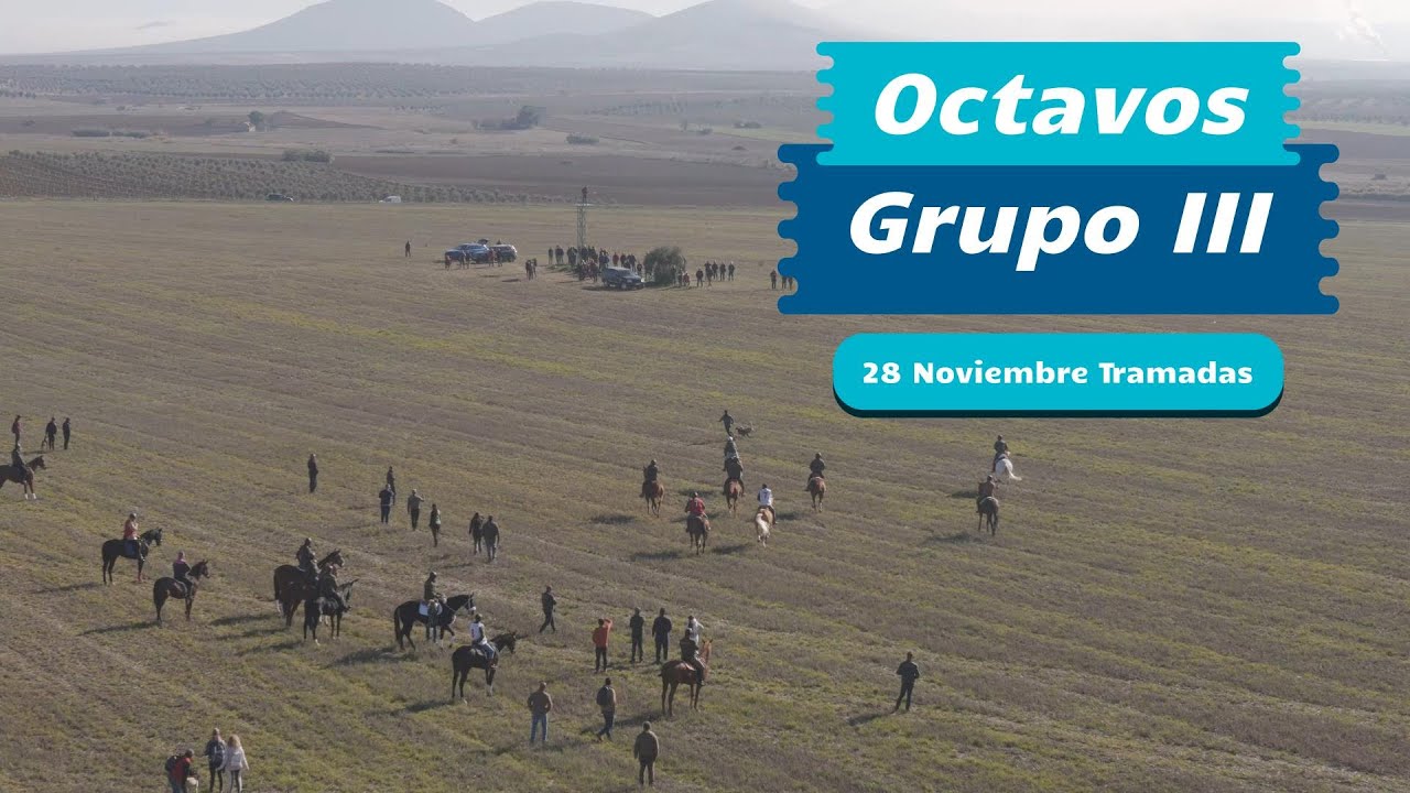 Octavos del grupo III, 28 de Noviembre 2024 en Las Tramadas