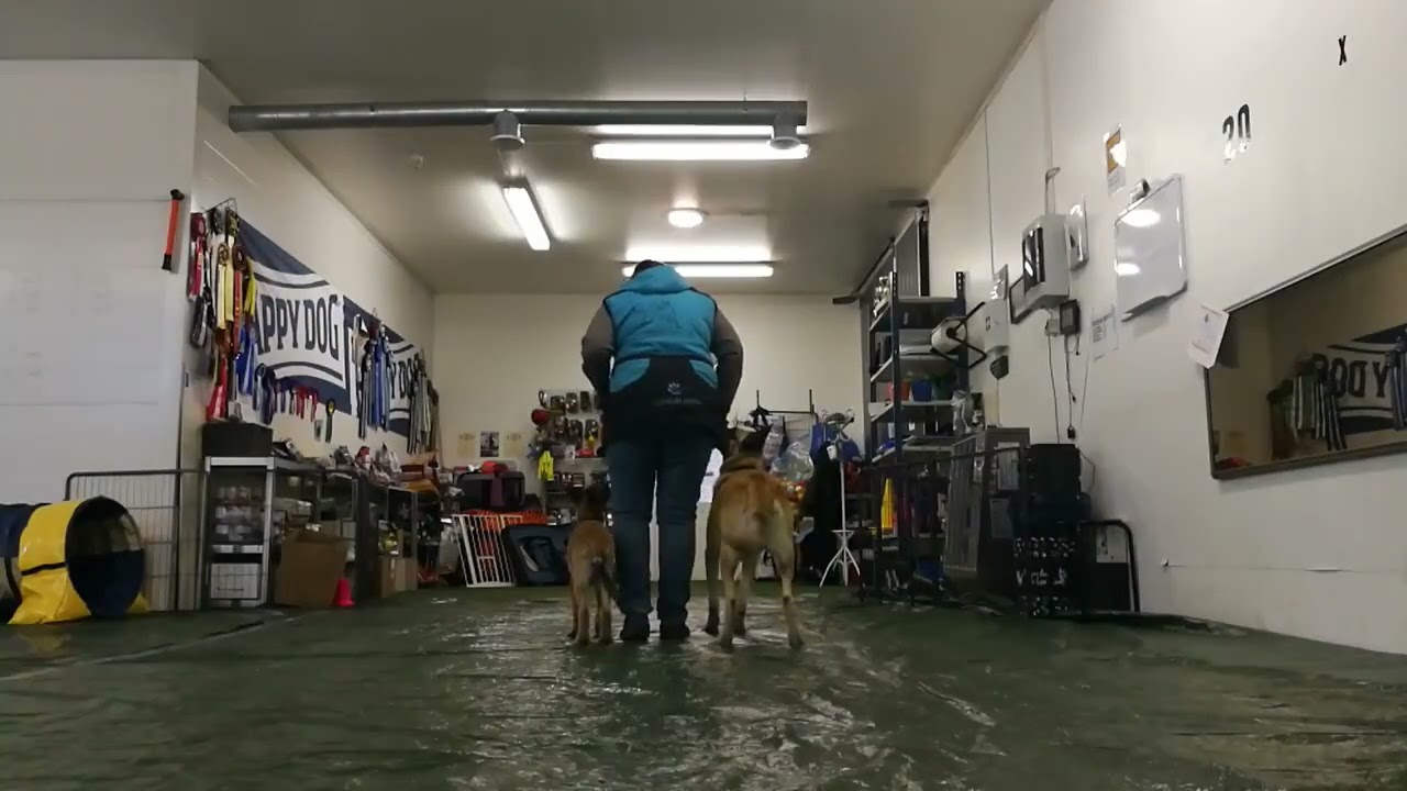 Micro 3,5 kk ja Ossi 7,5 v tandem seuraaminen