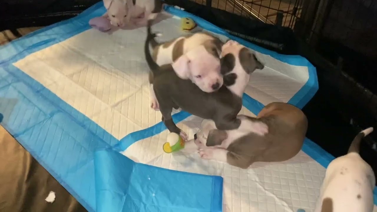 Getting ready to come home soon 