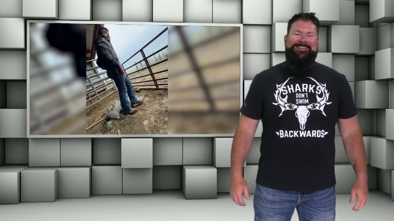 Funny Farm Videos