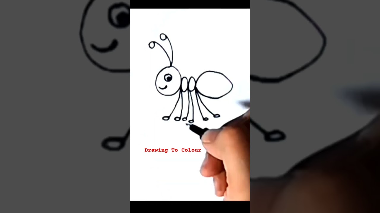 Ant Drawing and Colour #shorts #drawing #drawingtocolour #easydrawing