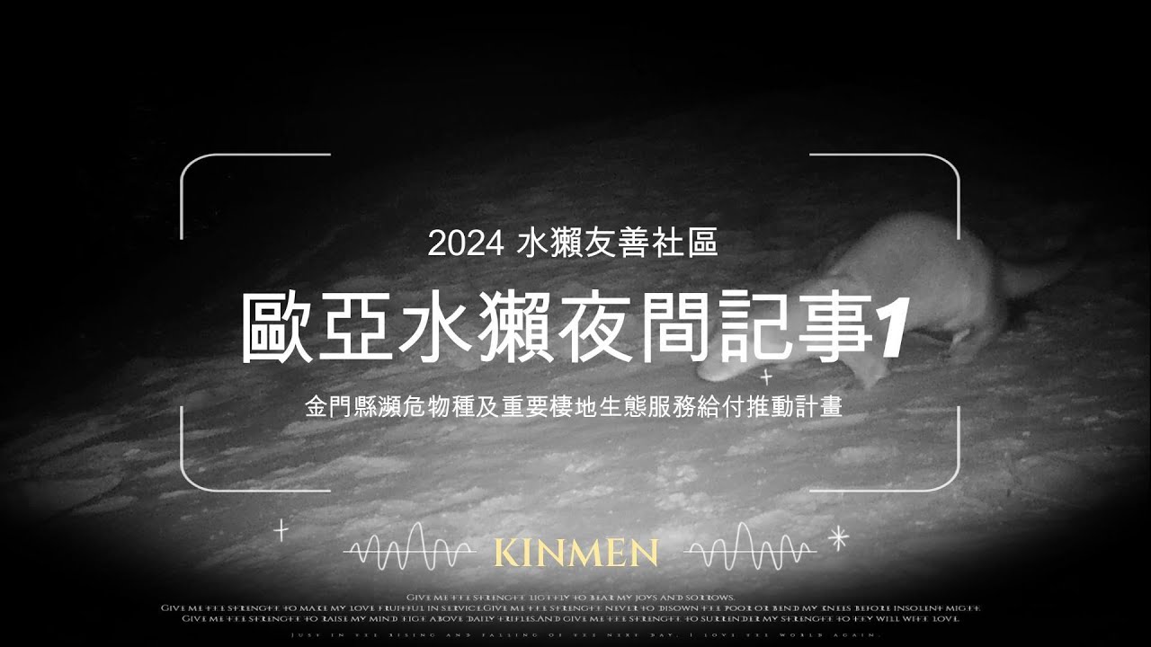 2024年金門歐亞水獺友善社區-歐亞水獺夜間記事！在金門各社區生活的水獺同胞是如何呢?遊玩!打鬧!貪吃!快跑!愛睏!等你來看看喔~