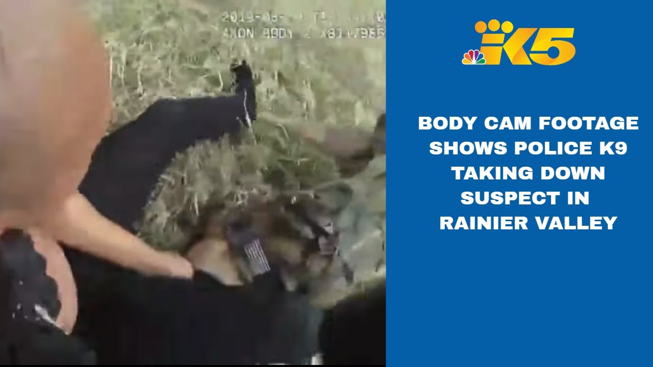 Body-cam shows Seattle police dog taking down suspect in Rainier Valley
