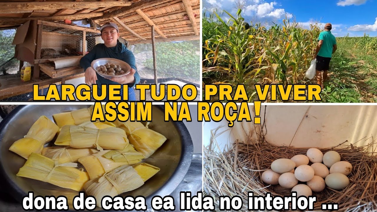 LARGUEI TUDO PRA MORAR NESSE PARA&Iacute;SO! AO LADO DO RIO PLANTA&Ccedil;&Atilde;O DE FRUTAS EA VIDA SIMPLES DA RO&Ccedil;A! 