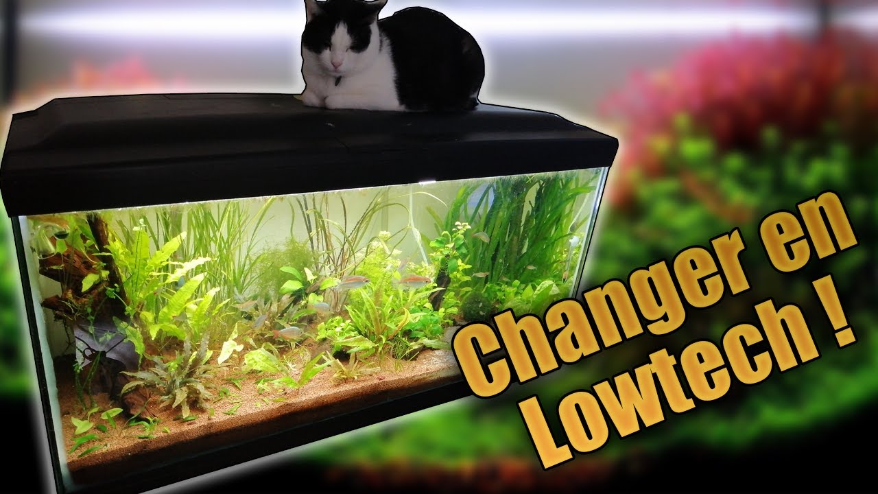 Transformer un bac de 260L en LowTech !