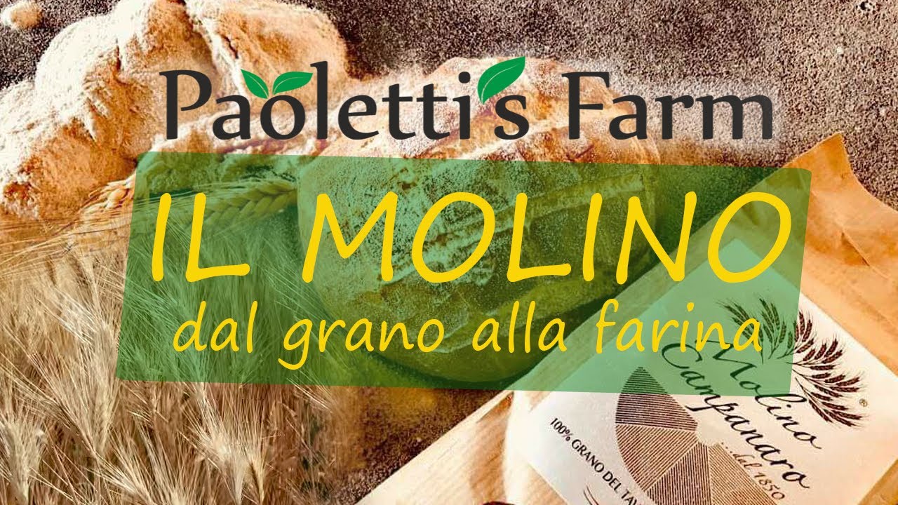 Il Molino: dal grano alla farina - Paoletti's Farm