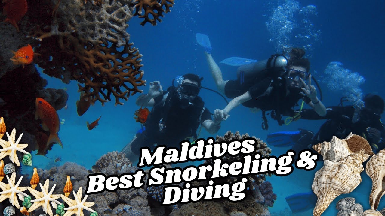 The Best Snorkeling & Diving Spots in the Maldives! - Travel Video